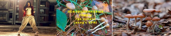 каннабис Няндома