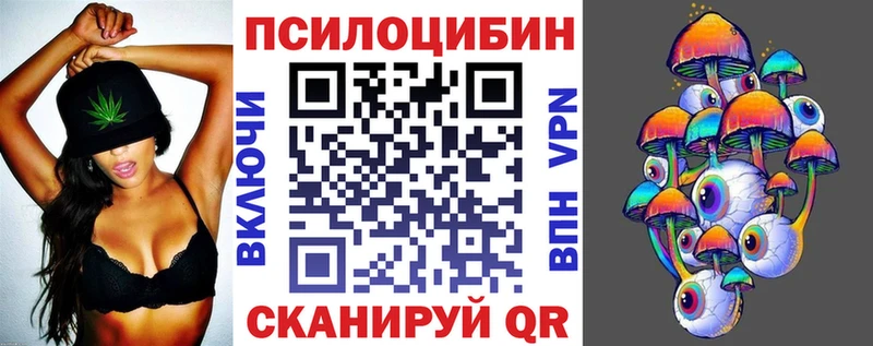 Псилоцибиновые грибы мицелий  блэк спрут ссылки  Александровск-Сахалинский 